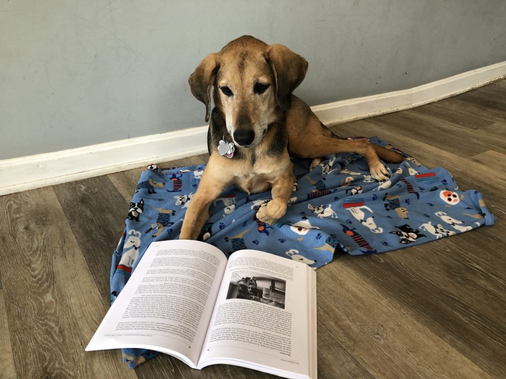 dog training book
