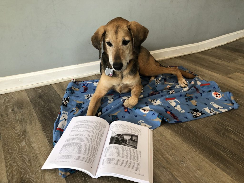 can reading help your dog