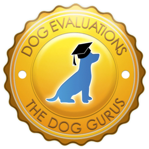 dog-evaluations-icon