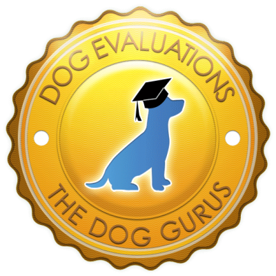 dog-evaluations-icon dog-evaluations-icon