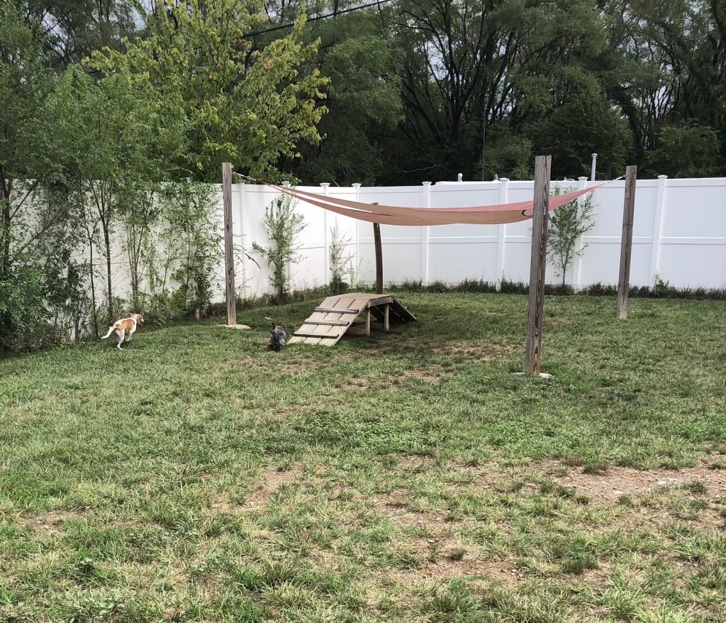 Dog Daycare Doggie Depot of Virginia Winchester, VA